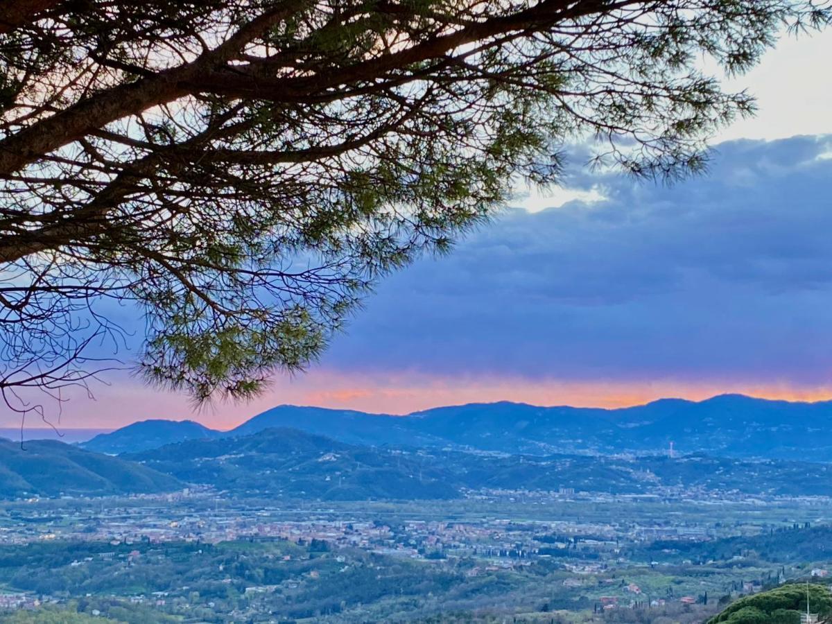La Ginestra B&B Fosdinovo Εξωτερικό φωτογραφία