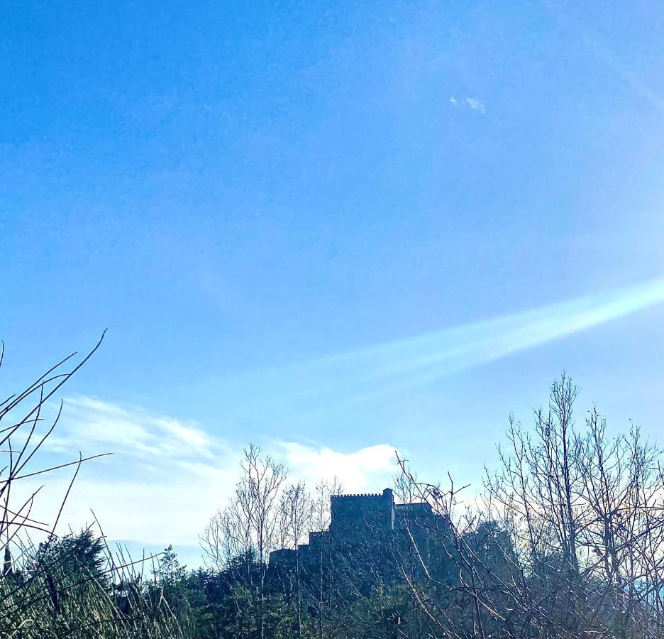 La Ginestra B&B Fosdinovo Εξωτερικό φωτογραφία