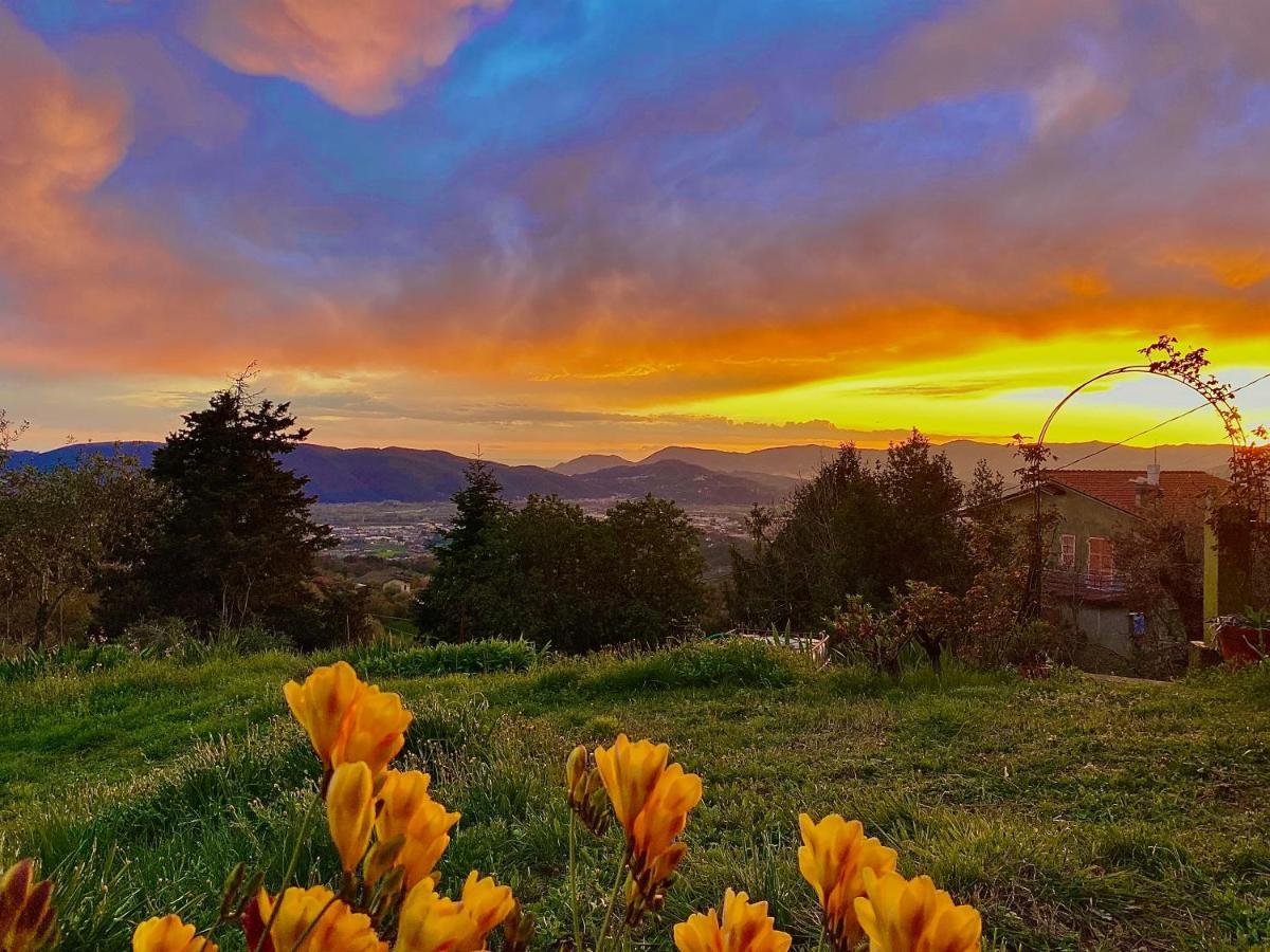 La Ginestra B&B Fosdinovo Εξωτερικό φωτογραφία