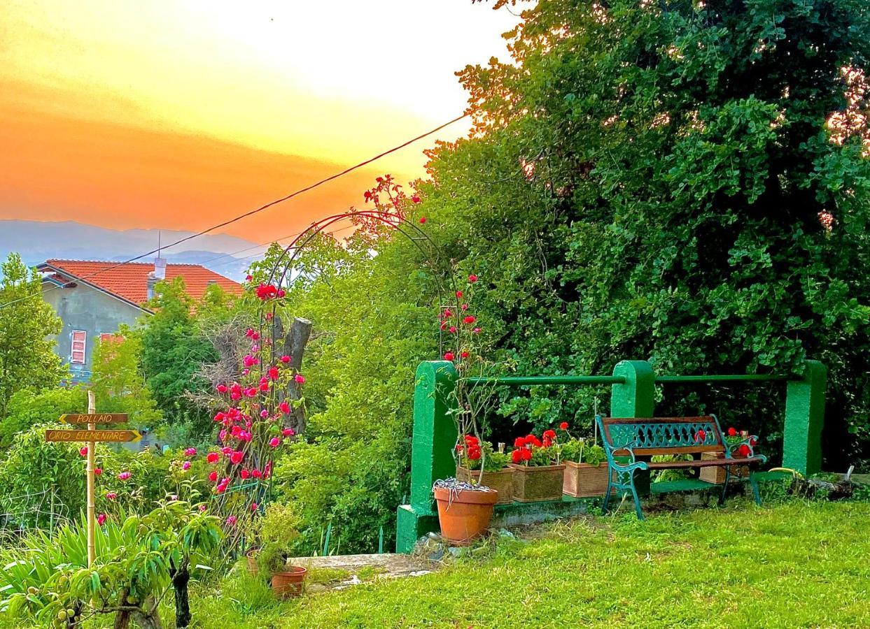 La Ginestra B&B Fosdinovo Εξωτερικό φωτογραφία