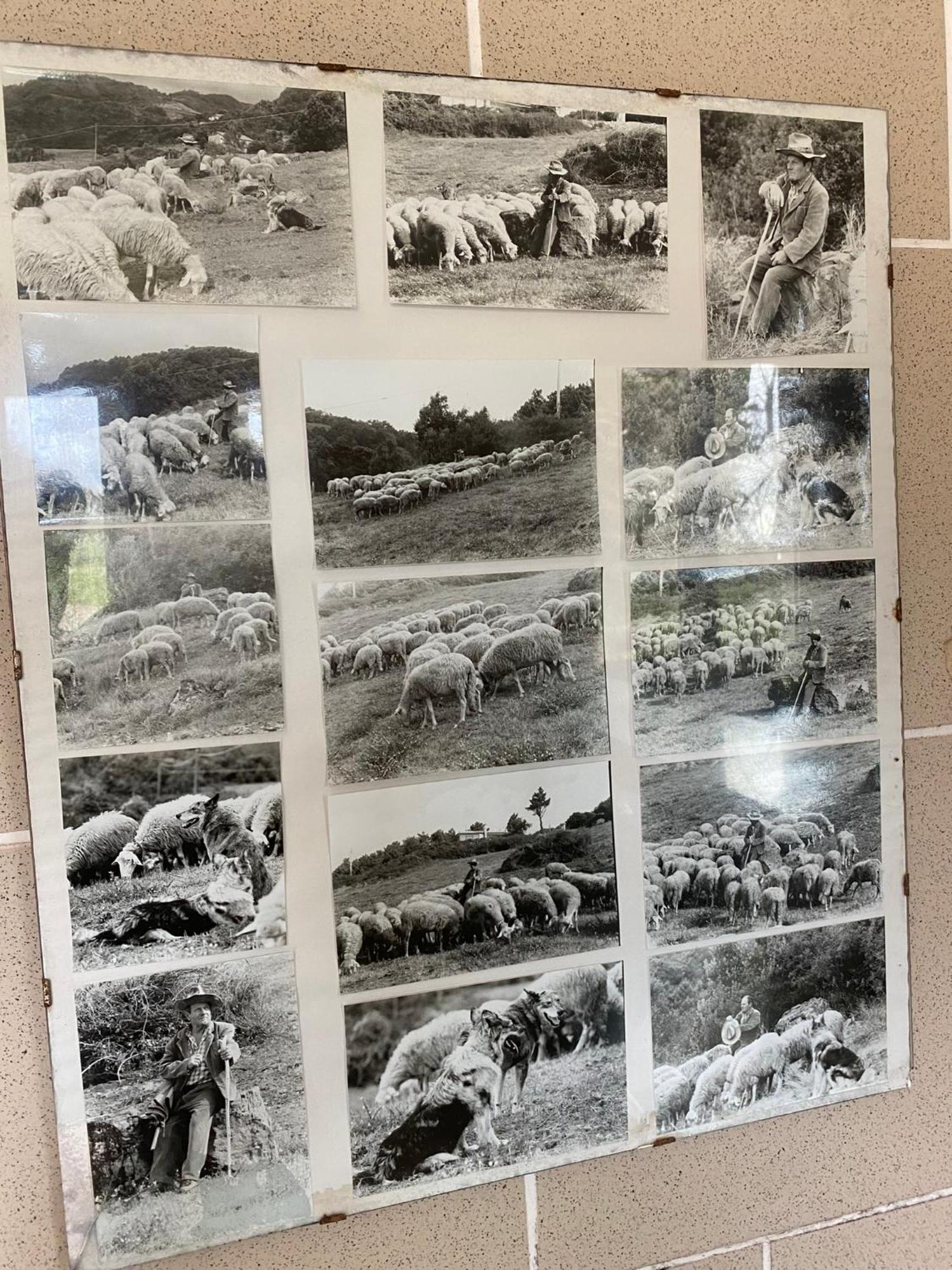 La Ginestra B&B Fosdinovo Εξωτερικό φωτογραφία