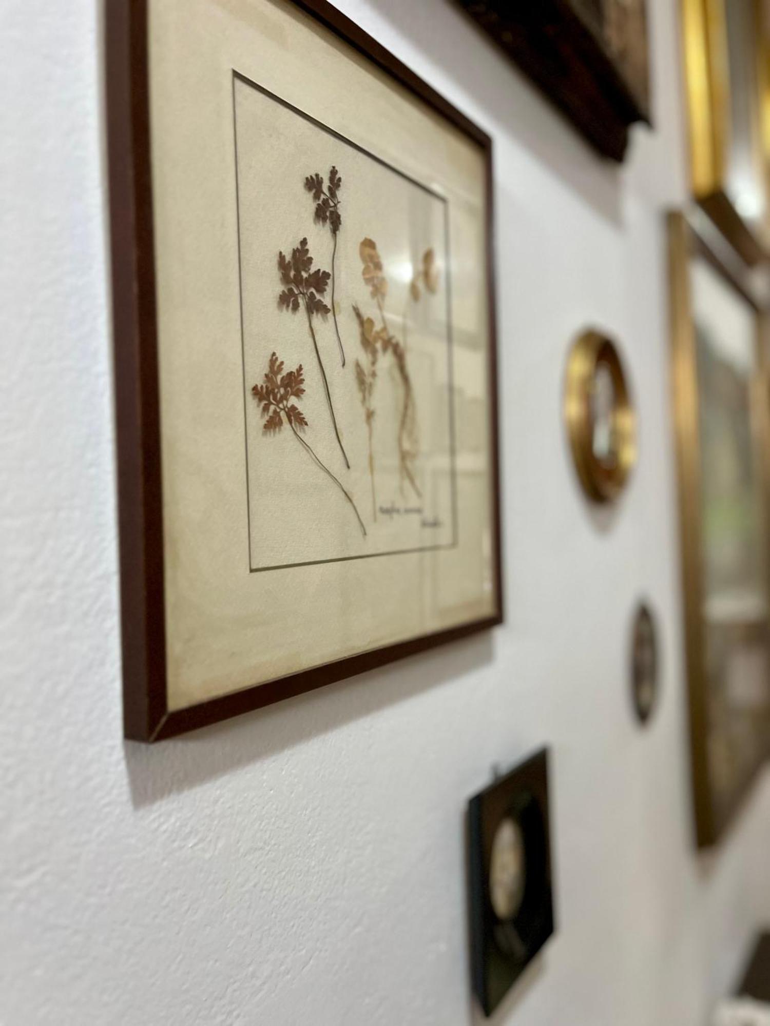 La Ginestra B&B Fosdinovo Εξωτερικό φωτογραφία